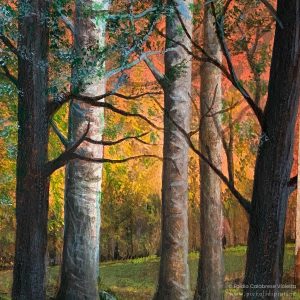 Particolare del dipinto ad acquerello originale "Bosco al tramonto" di Egidio Calabrese Violetta.