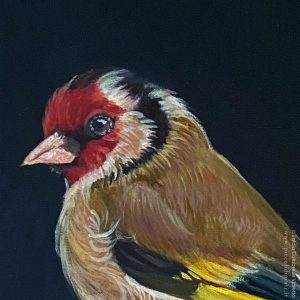 Particolare de "Il nobile cardellino", dipinto a olio di Egidio Calabrese Violetta. Uno degli uccellini a olio su tela della galleria.