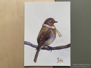 Un simpatico pettirosso che si riscalda con una sciarpa: uno degli uccellini ad acquerello su carta presenti nella galleria.
