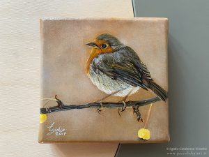 Un tenero pettirosso che osserva da un ramo: uno degli uccellini a olio su tela presenti nella galleria.
