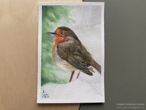 Un pettirosso con le zampine immerse nella neve: uno degli uccellini ad acquerello su carta presenti nella galleria.