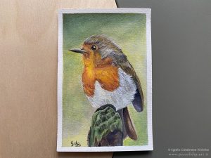 Un pettirosso le cui piume sono mosse dalla brezza: uno degli uccellini ad acquerello su carta presenti nella galleria.